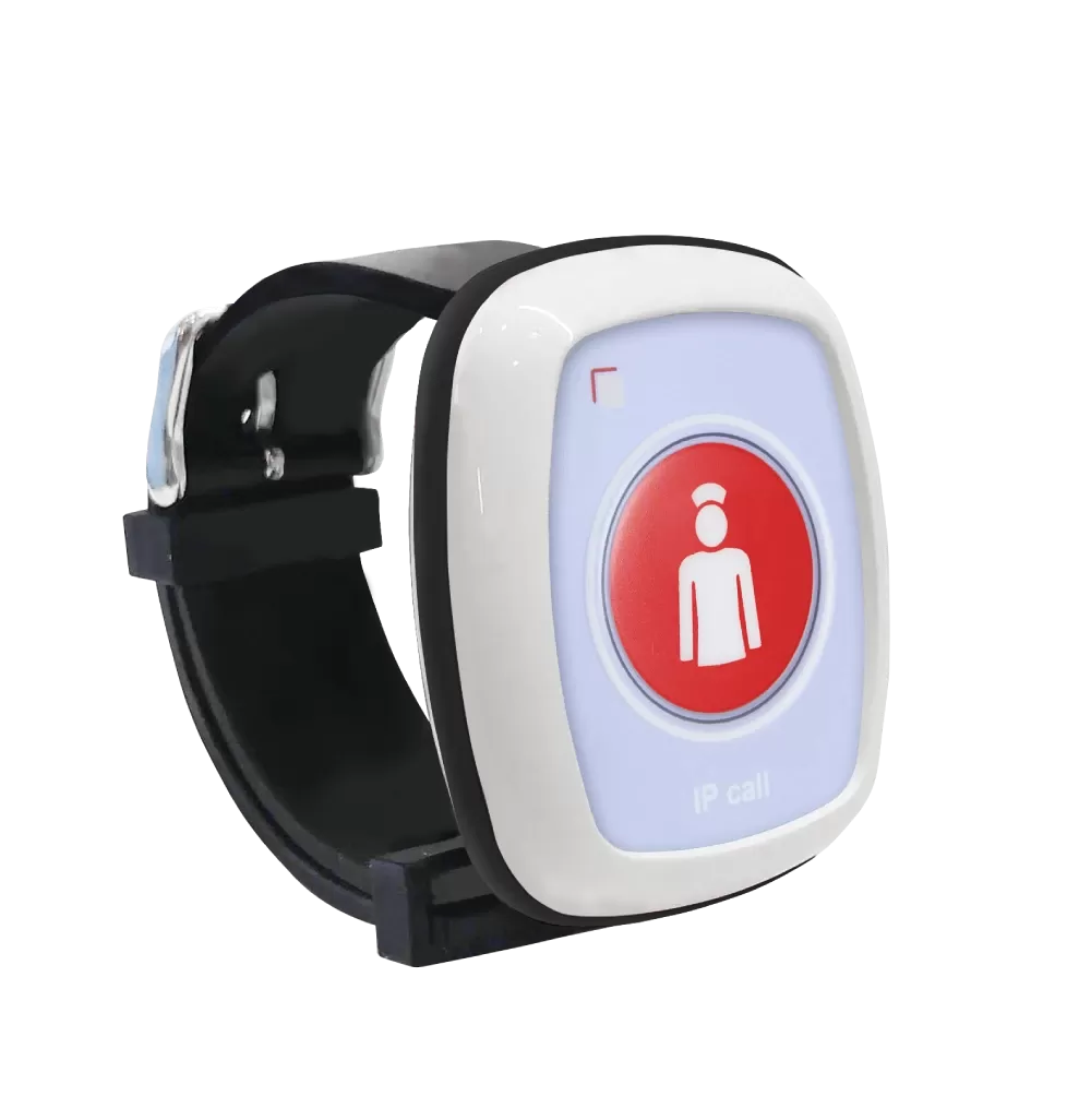 Wireless portable push button with passage identification WB2-G Wireless portable push button with passage identification WB2-G