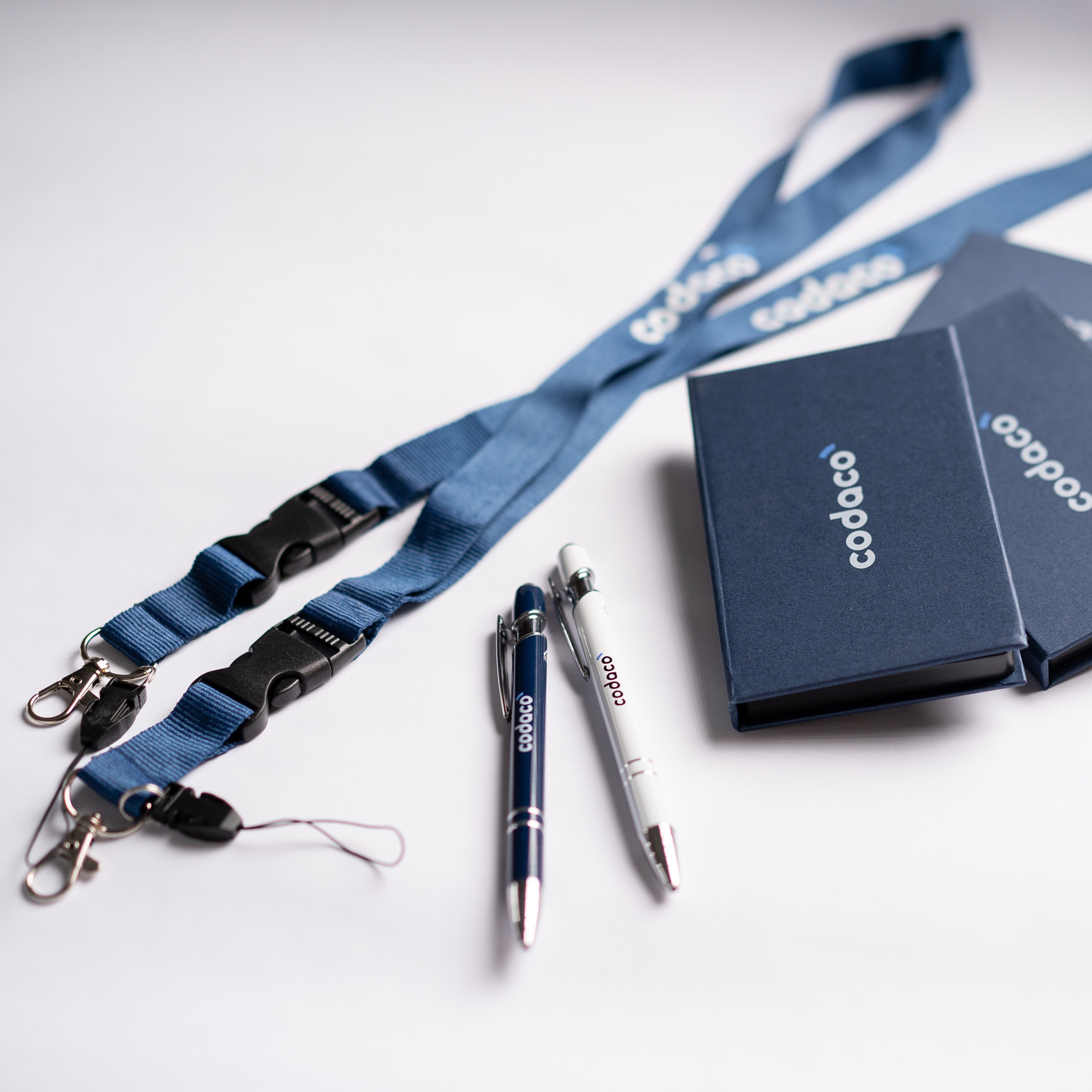       
          Nové logo, stejná mise – Vstupujeme do další dekády s novou identitou
      